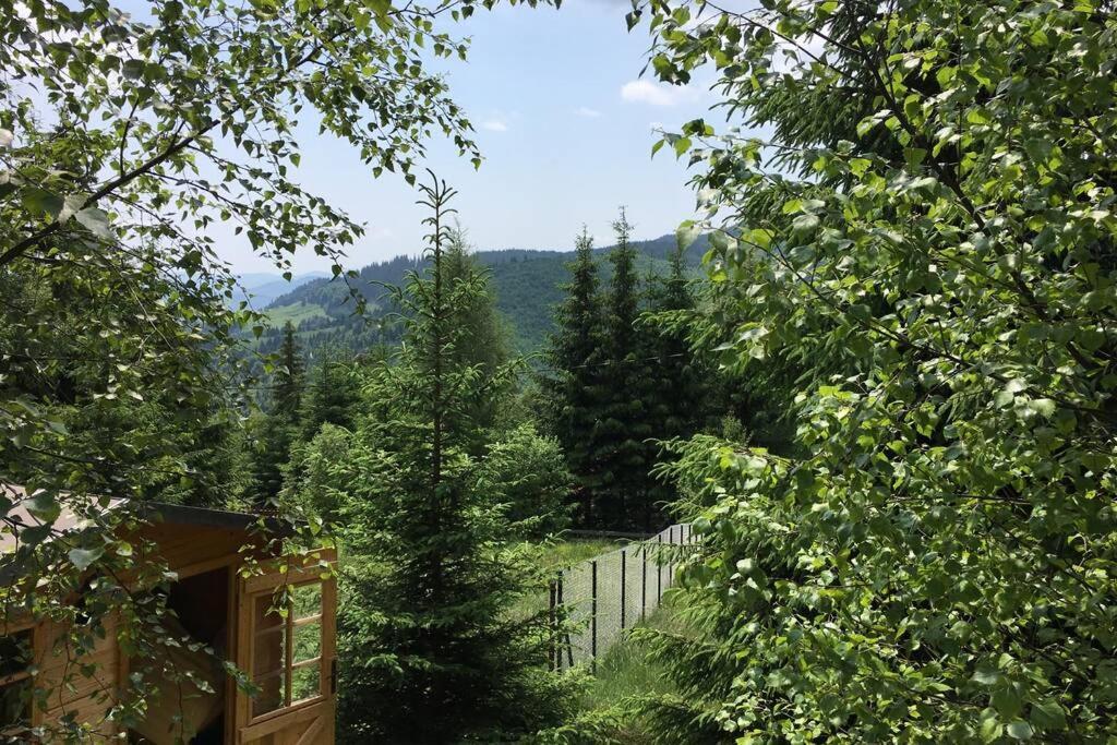 Mountain Chalet - Cabana La Muntele Baisorii Muntele Cacovei  Exterior photo