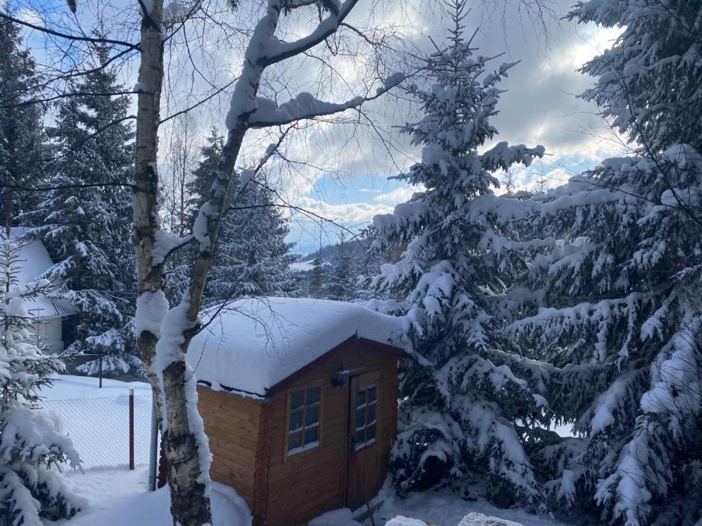 Mountain Chalet - Cabana La Muntele Baisorii Villa Muntele Cacovei  Exterior photo