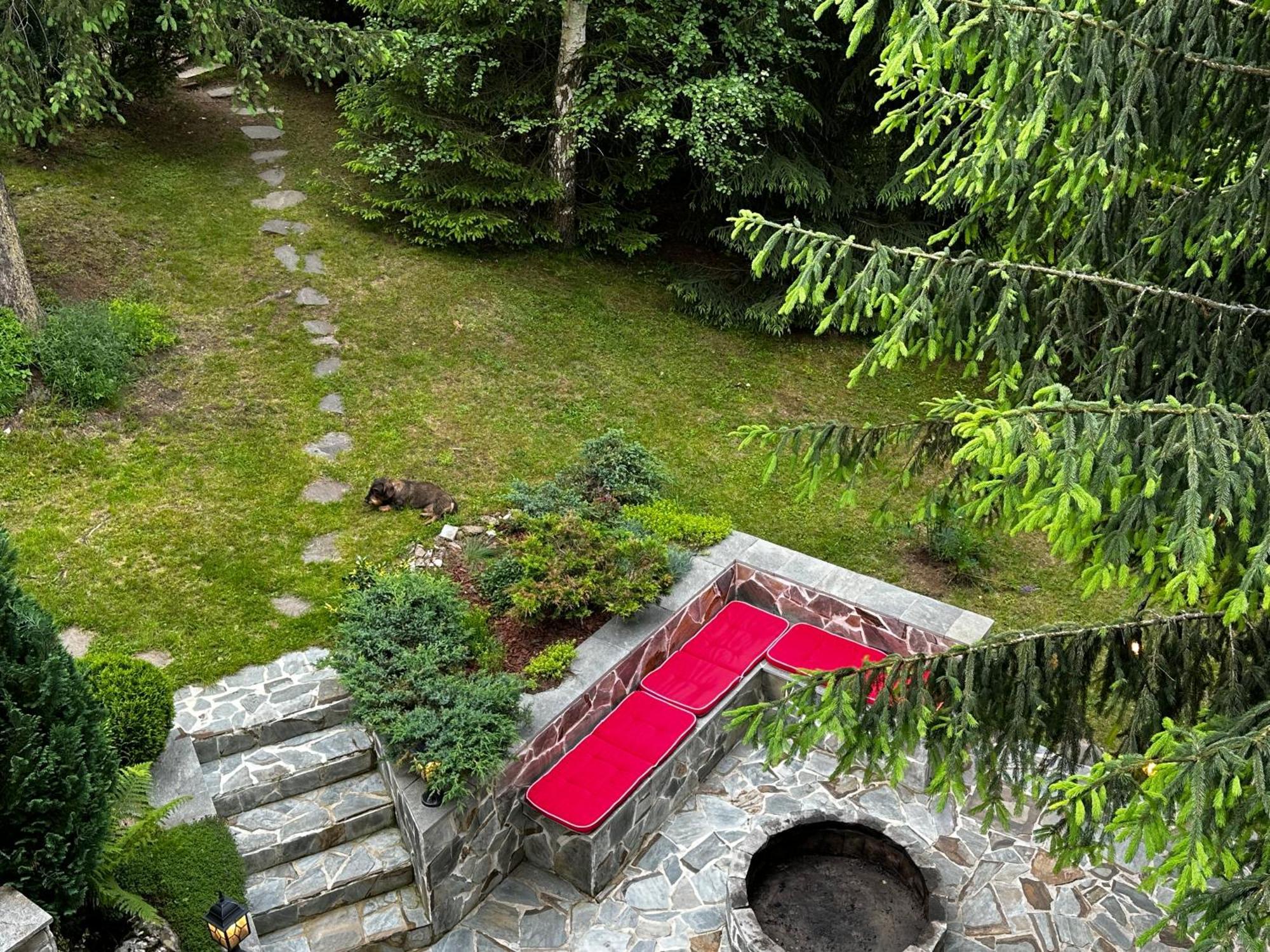 Mountain Chalet - Cabana La Muntele Baisorii Muntele Cacovei  Exterior photo